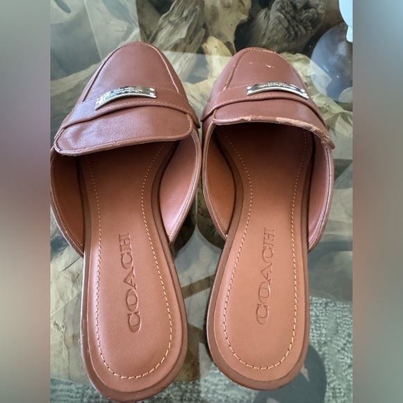 Coach Mule - Picture 3 of 4